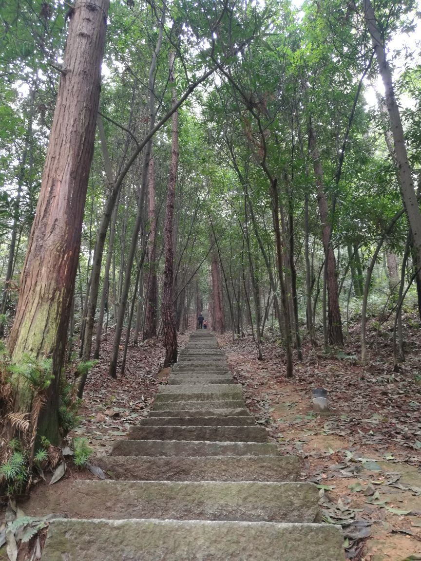 湘乡东台山森林公园图片