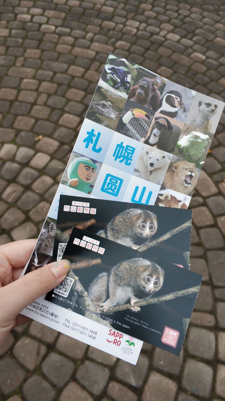 2021札幌市圆山动物园游玩攻略,真的特别小)弥猴,土拨鼠.