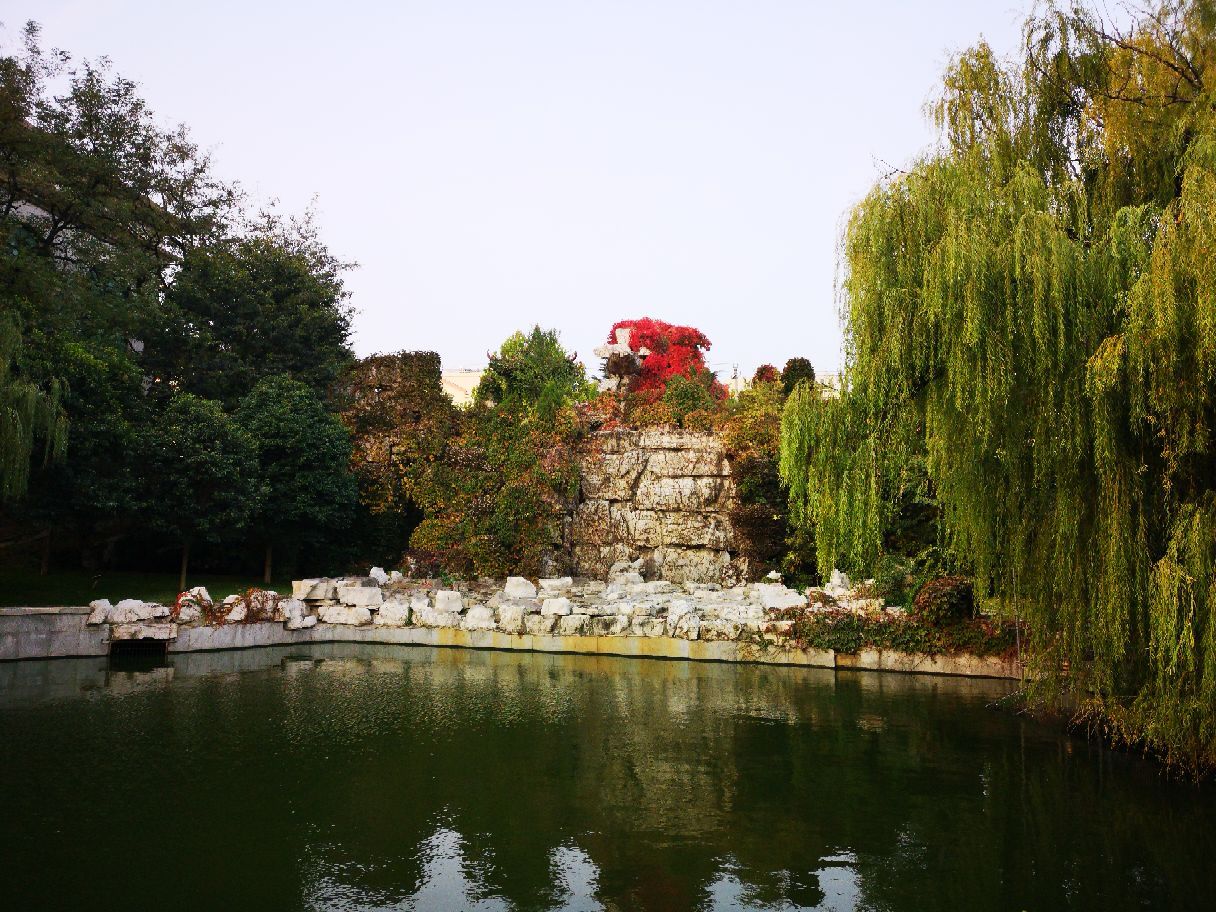 煙臺東山賓館餐廳好吃嗎,東山賓館餐廳味道怎麼樣,環境/服務好不好