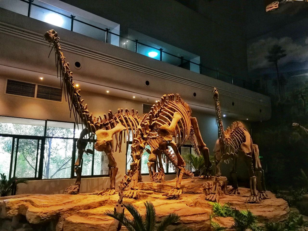 2021恐龙化石博物馆-旅游攻略-门票-地址-问答-游记点评，武汉旅游旅游景点推荐-去哪儿攻略