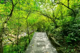 2-Day Guang'an Tour: Explore Deng Xiaoping's Hometown, Autumn Scenery of Huaying Mountain