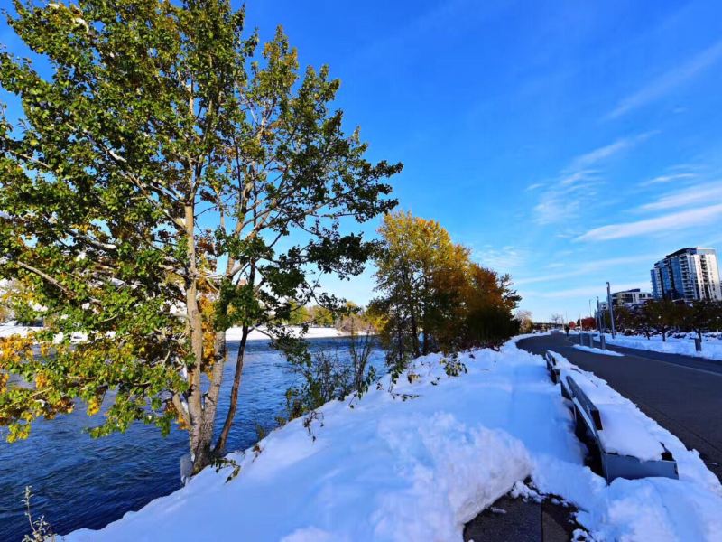 卡尔加里塔门票价格多少钱-团购票价预定优惠-景点地址图片-【携程