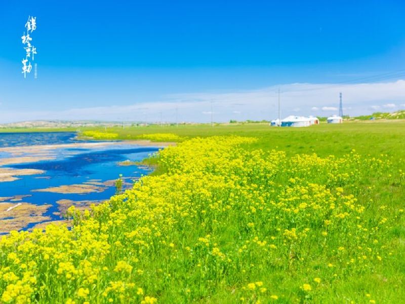 正蓝旗上都湖攻略-上都湖门票价格多少钱-团购票价预定优惠-景点地址