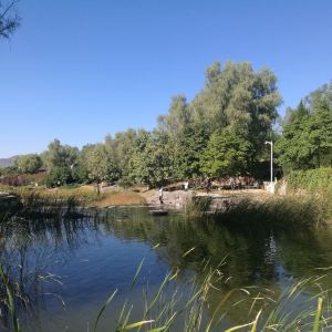 2019青龍湖公園_旅遊攻略_門票_地址_遊記點評,北京旅遊景點推薦 - 去