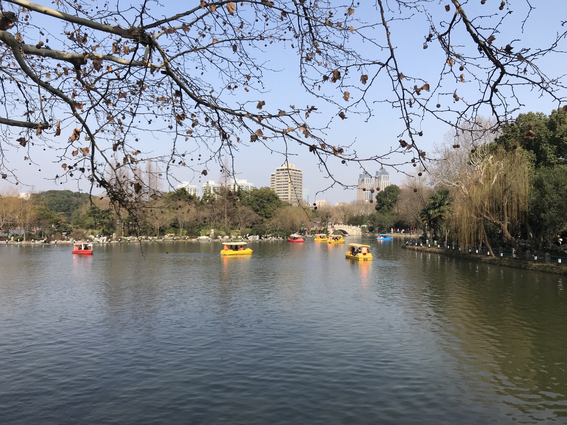 2020长风公园-旅游攻略-门票-地址-问答-游记点评，上海旅游旅游景点推荐-去哪儿攻略