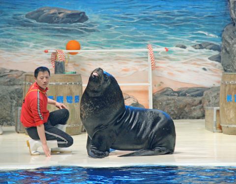 2019长沙海底世界门票,长沙长沙海底世界游玩