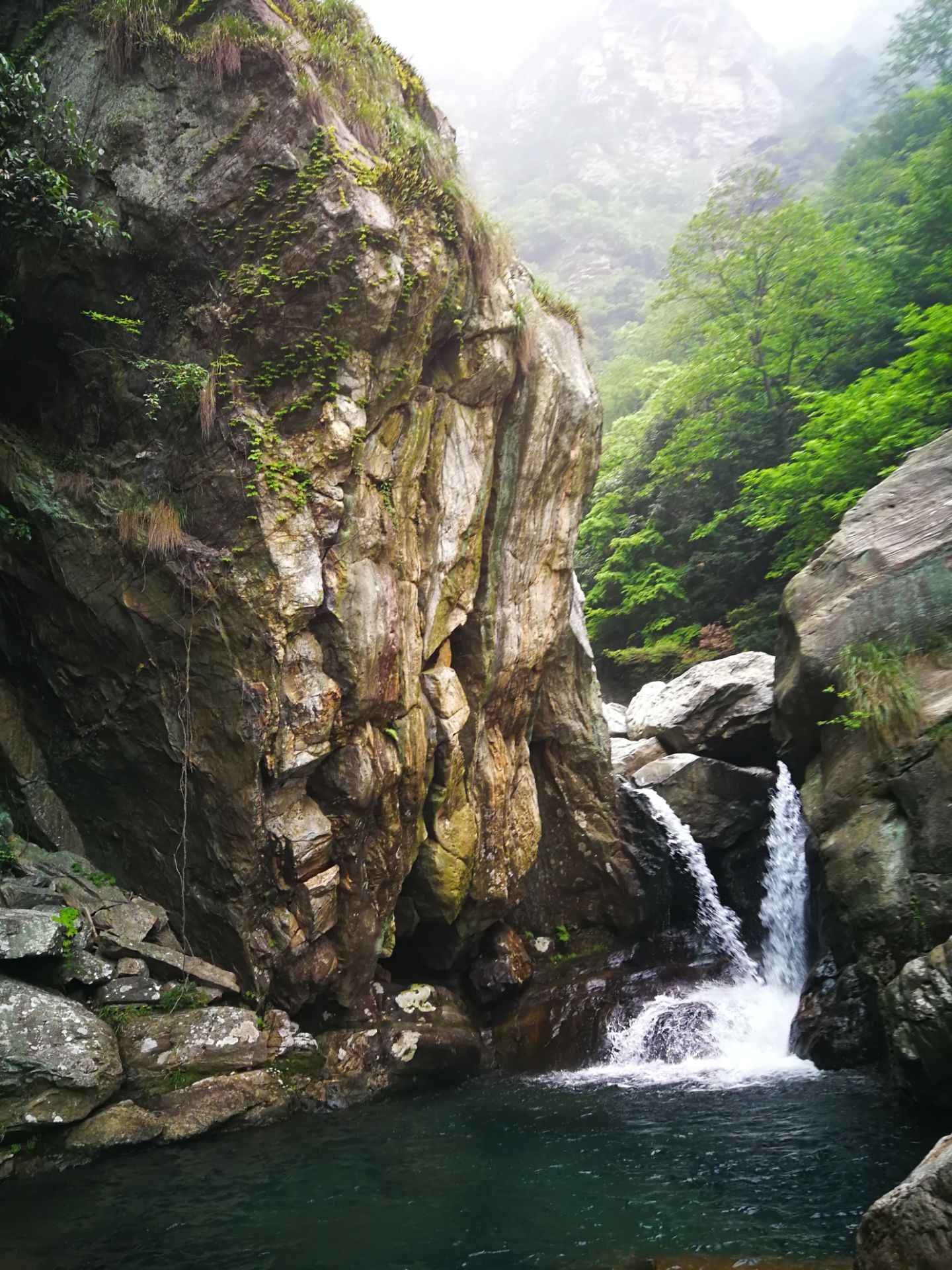 因為時間關係,沒有時間去廬山主景區體驗,只能走馬觀花地來看三疊泉