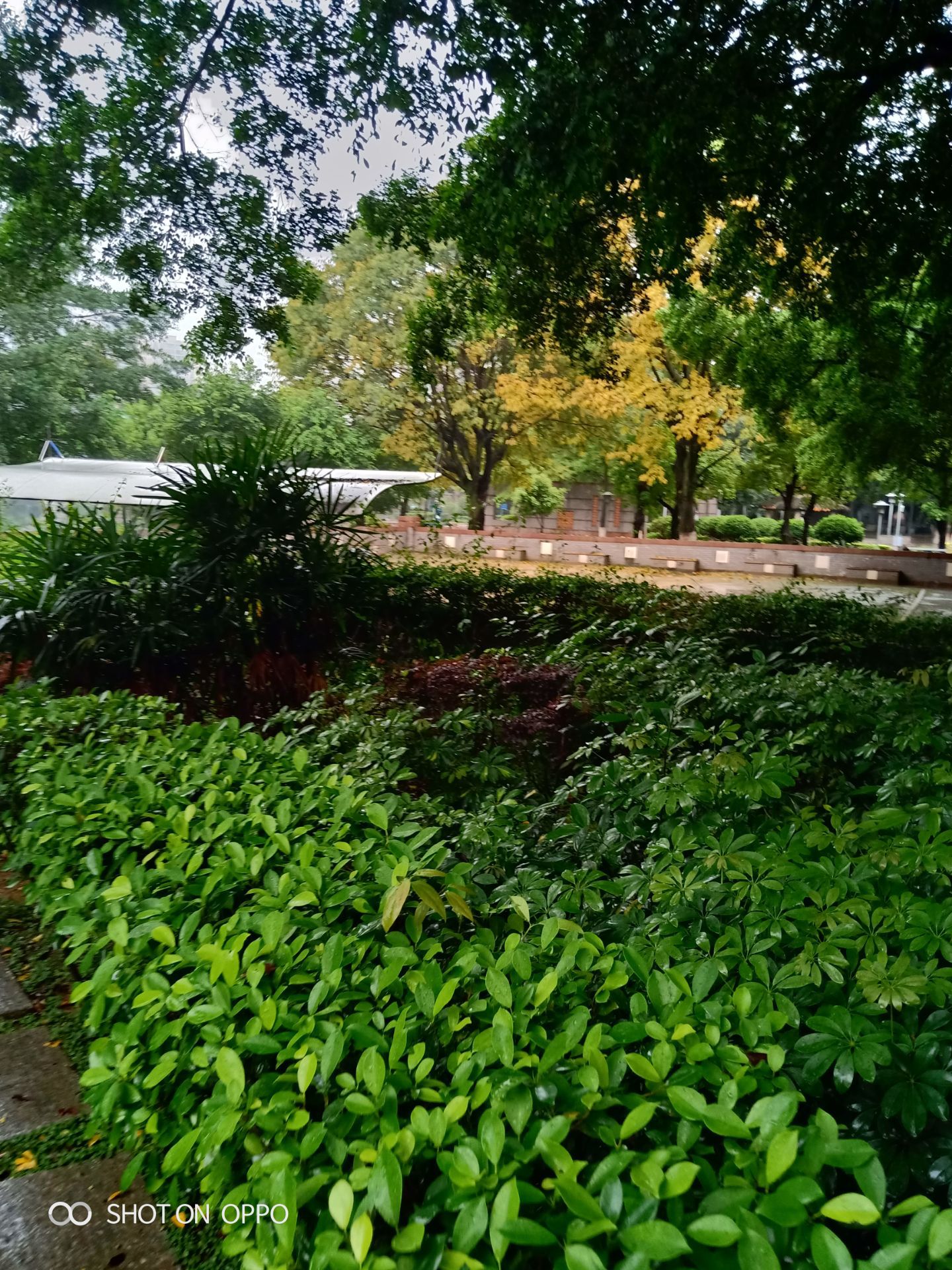 【攜程攻略】清遠中山公園歡樂島景點,中山公園很好玩【景色】景色很