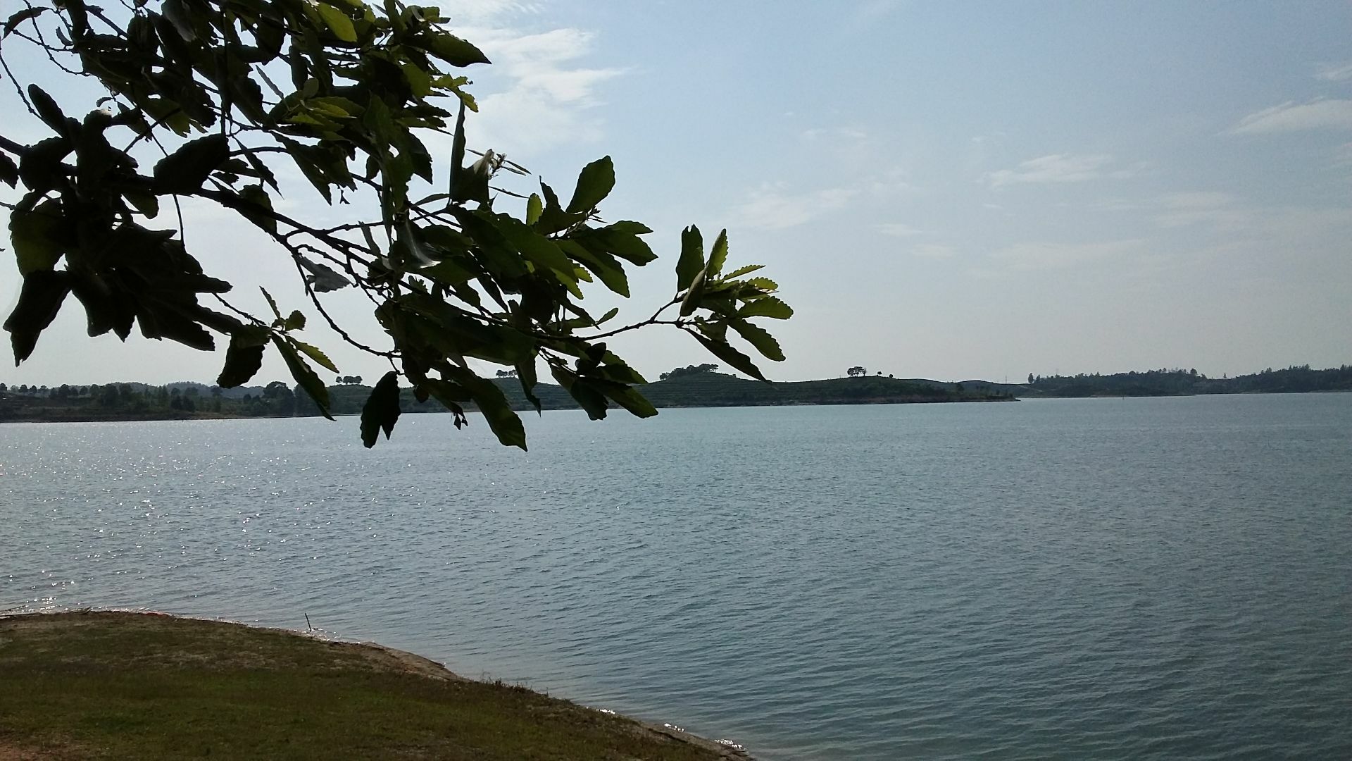 宁阳琵琶湖风景区图片