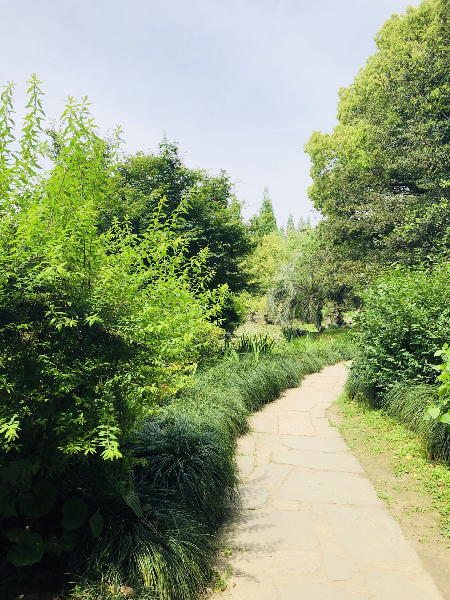 2019上海植物園_旅遊攻略_門票_地址_遊記點評,上海旅遊景點推薦 - 去