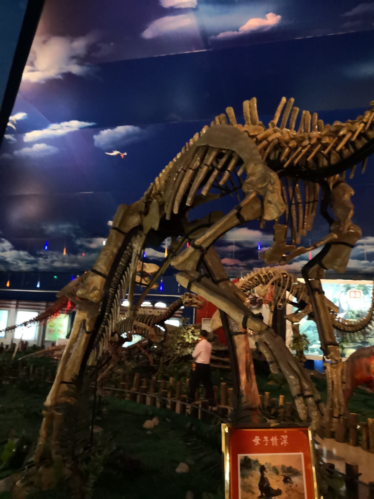 诸城恐龙新属种—巨型山东龙 - 山东诸城恐龙国家地质公园