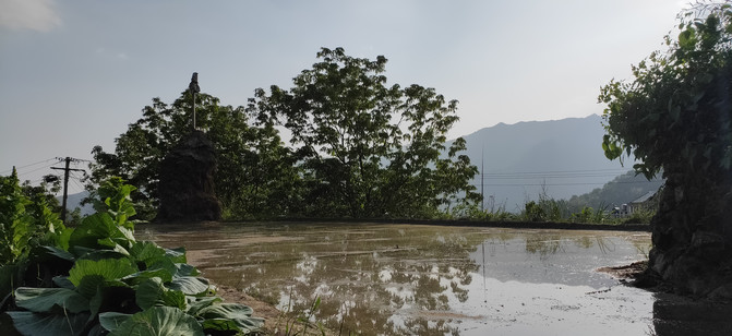 绩溪有多少人口_龙川,旅游攻略,自助游,自驾游,自由行,游玩攻略指南 移动版