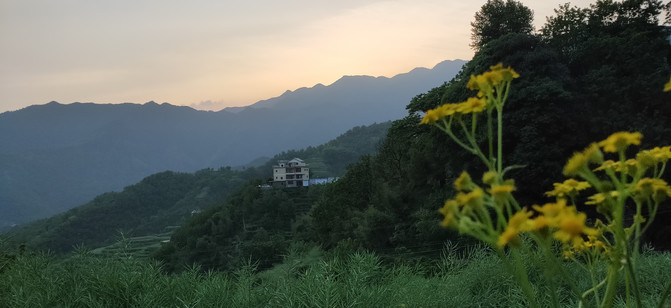 绩溪有多少人口_龙川,旅游攻略,自助游,自驾游,自由行,游玩攻略指南 移动版