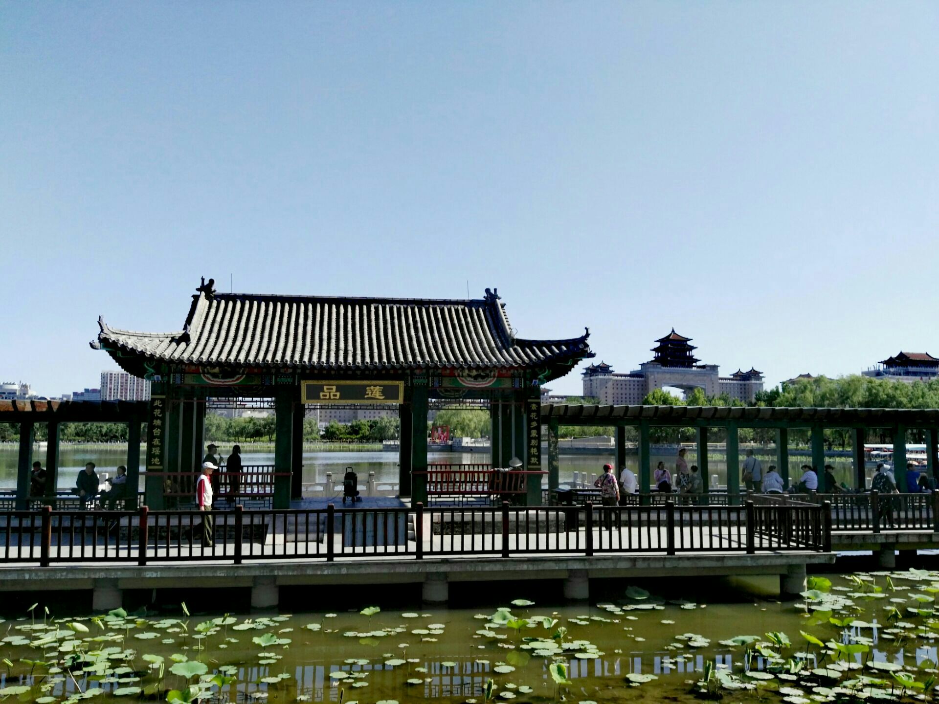 2019莲花池公园-旅游攻略-门票-地址-问答-游记点评，北京旅游旅游景点推荐-去哪儿攻略
