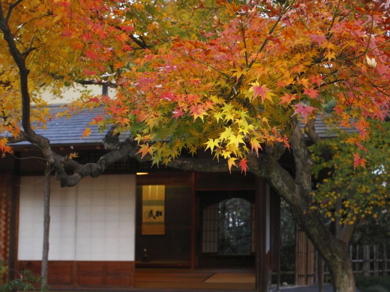 福冈松风园攻略-松风园门票价格多少钱-团购票价预定优惠-景点地址