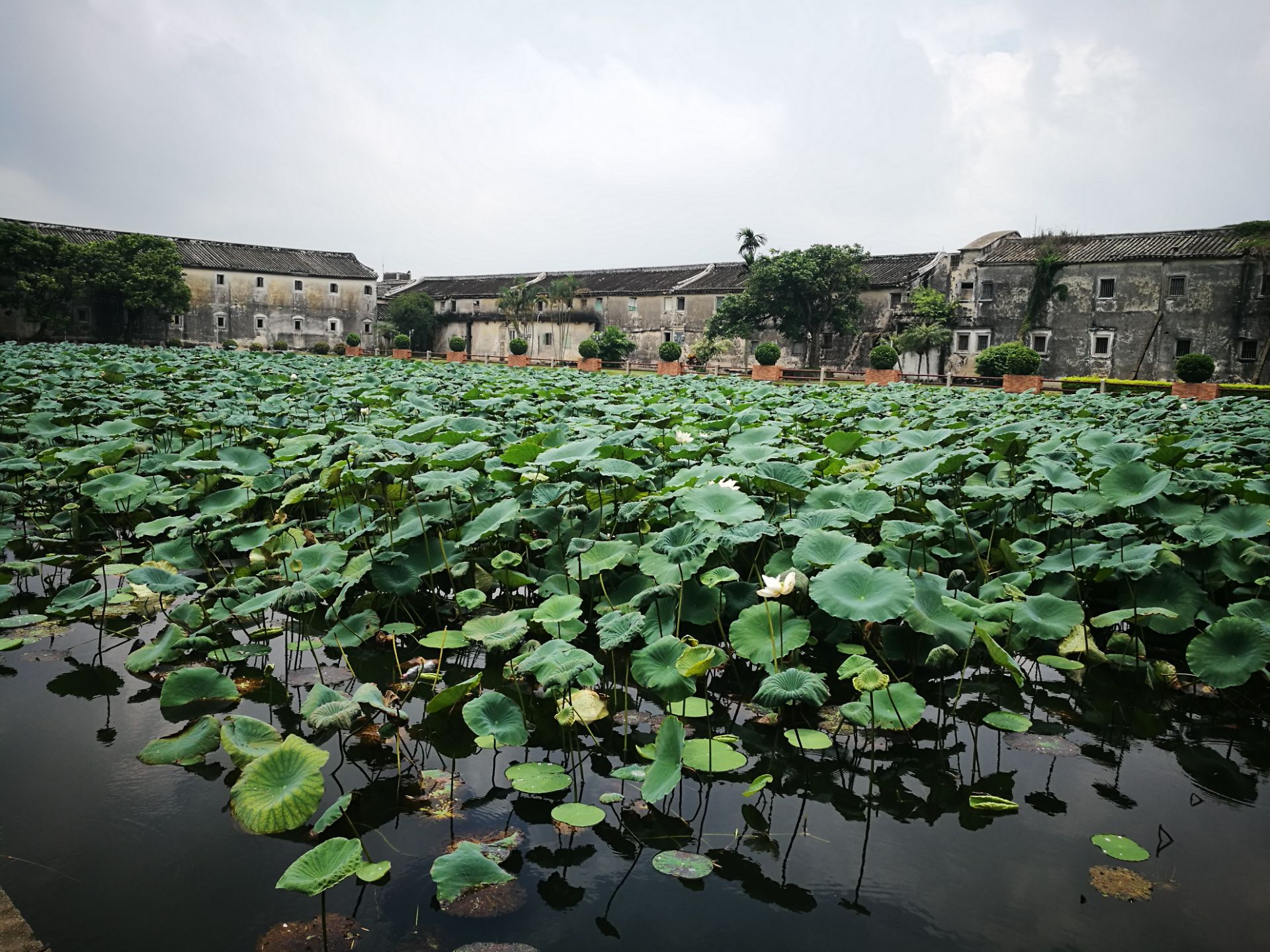 前美古村侨文化旅游区