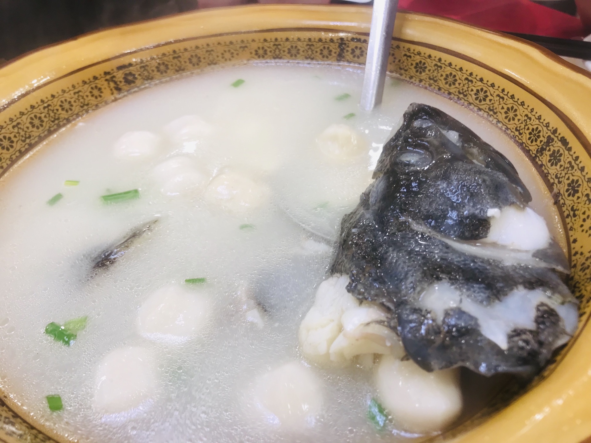 石斑鱼豆腐汤图片