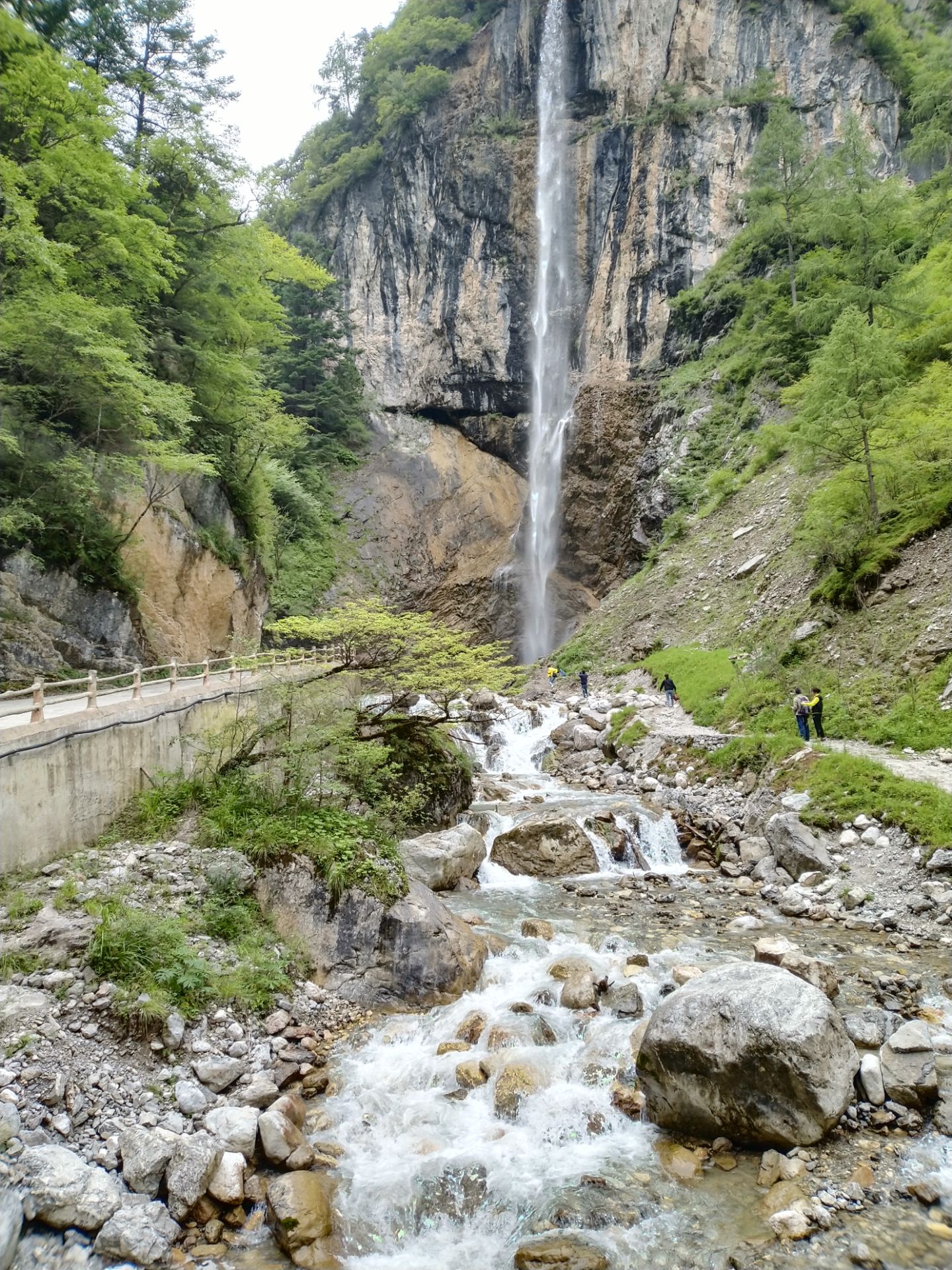 宕昌官鹅沟攻略,宕昌官鹅沟门票/游玩攻略/地址/图片/门票价格【携程攻略】