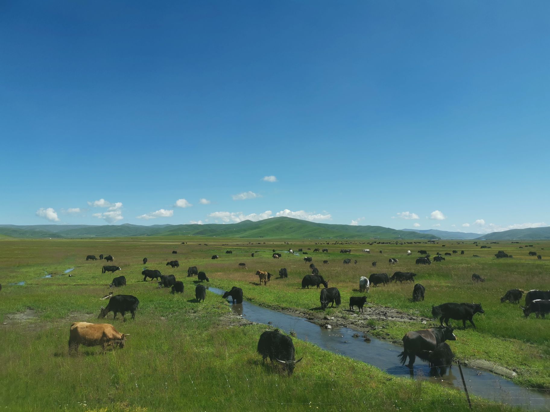 红原—若尔盖大草原