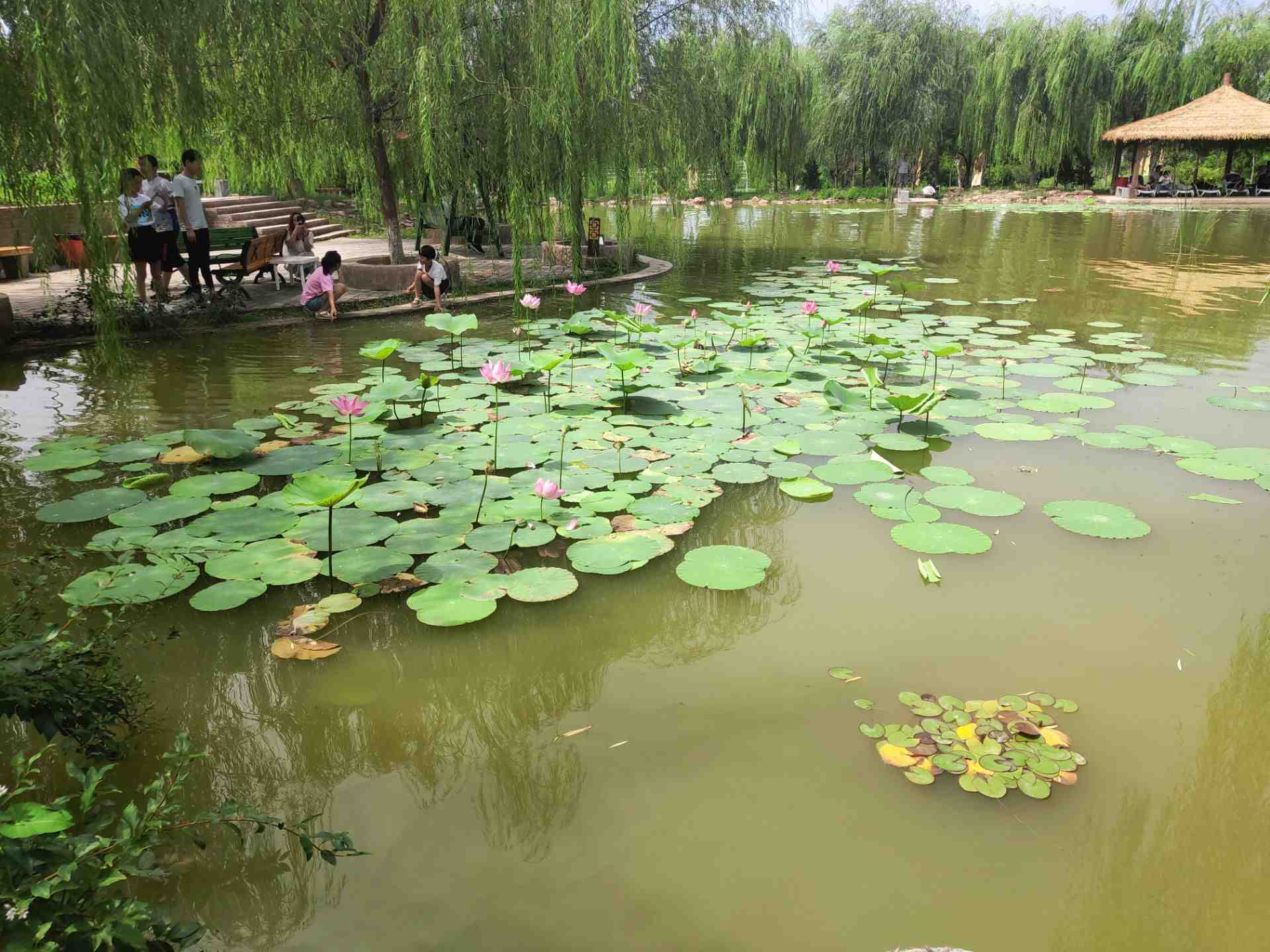 邯郸朱山石刻好玩吗,邯郸朱山石刻景点怎么样_点评_评价【携程攻略】