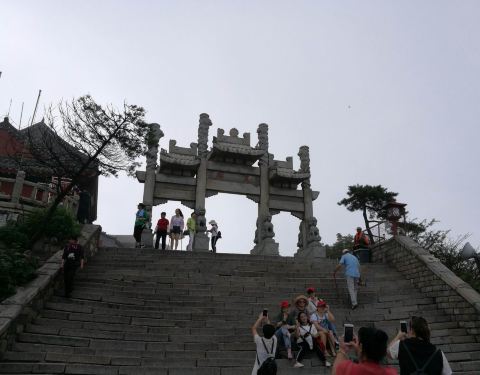 100e170000011sf272083_C_480_375.jpg