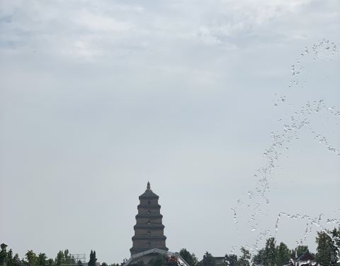 100e19000001618fe753C_C_480_375.jpg