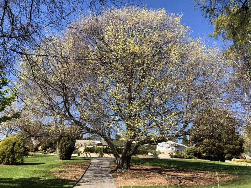 旧金山凯鲁亚克故居攻略-凯鲁亚克故居门票价格多少钱-团购票价预定