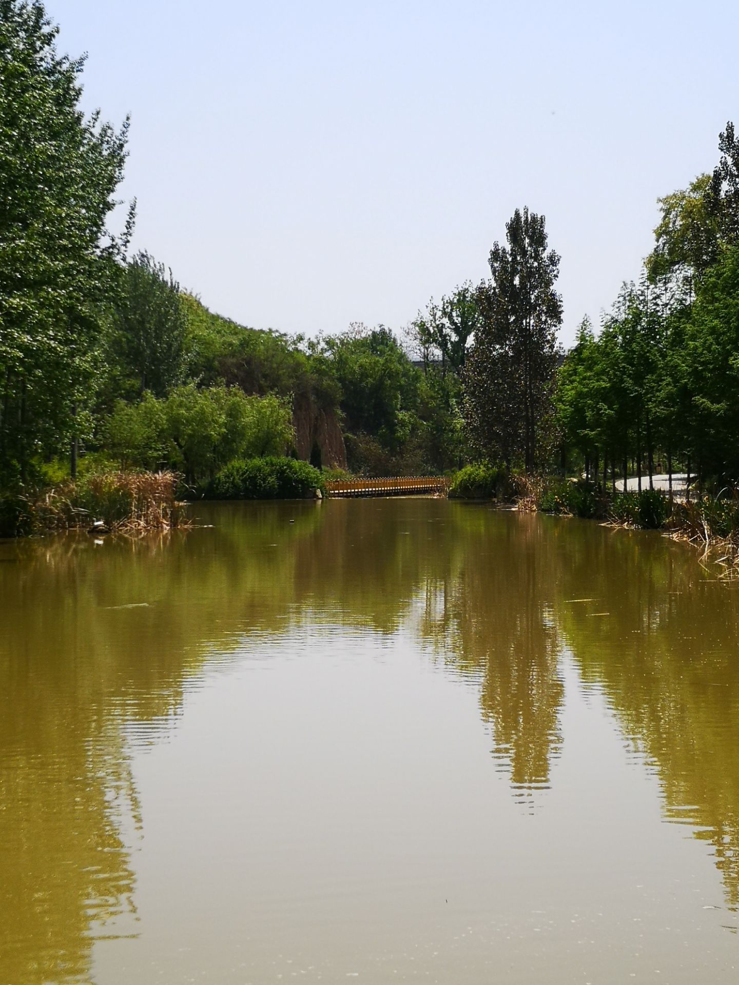 七星河国家湿地公园