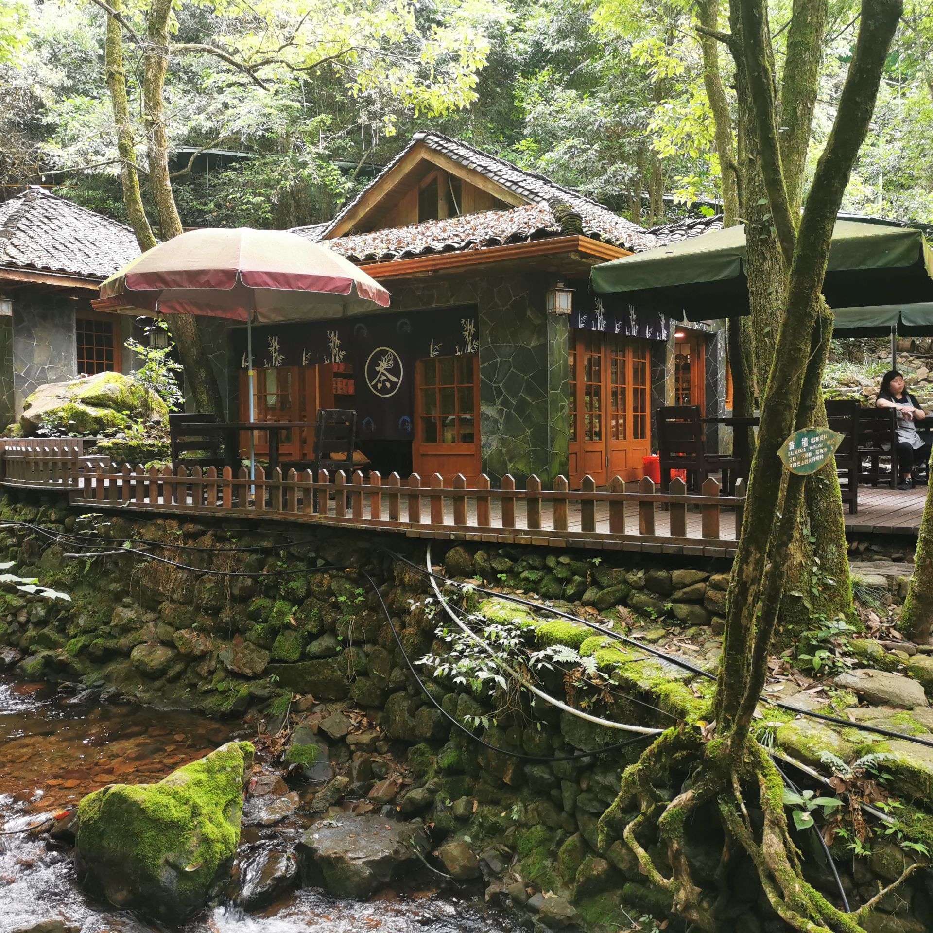 2022千岛湖森林氧吧游玩攻略,比如这个千岛湖森林氧吧吧,.