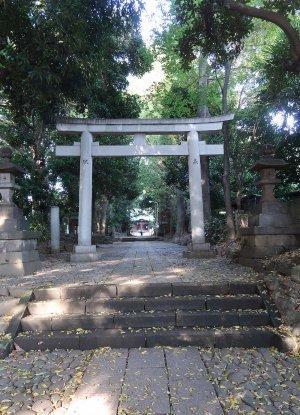 代代木八幡宫图片