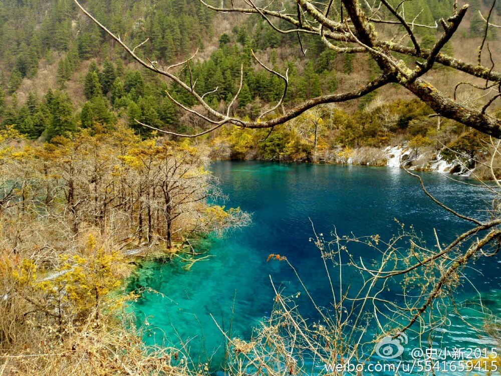 九寨溝九寨溝風景區好玩嗎,九寨溝九寨溝風景區景點怎麼樣_點評_評價