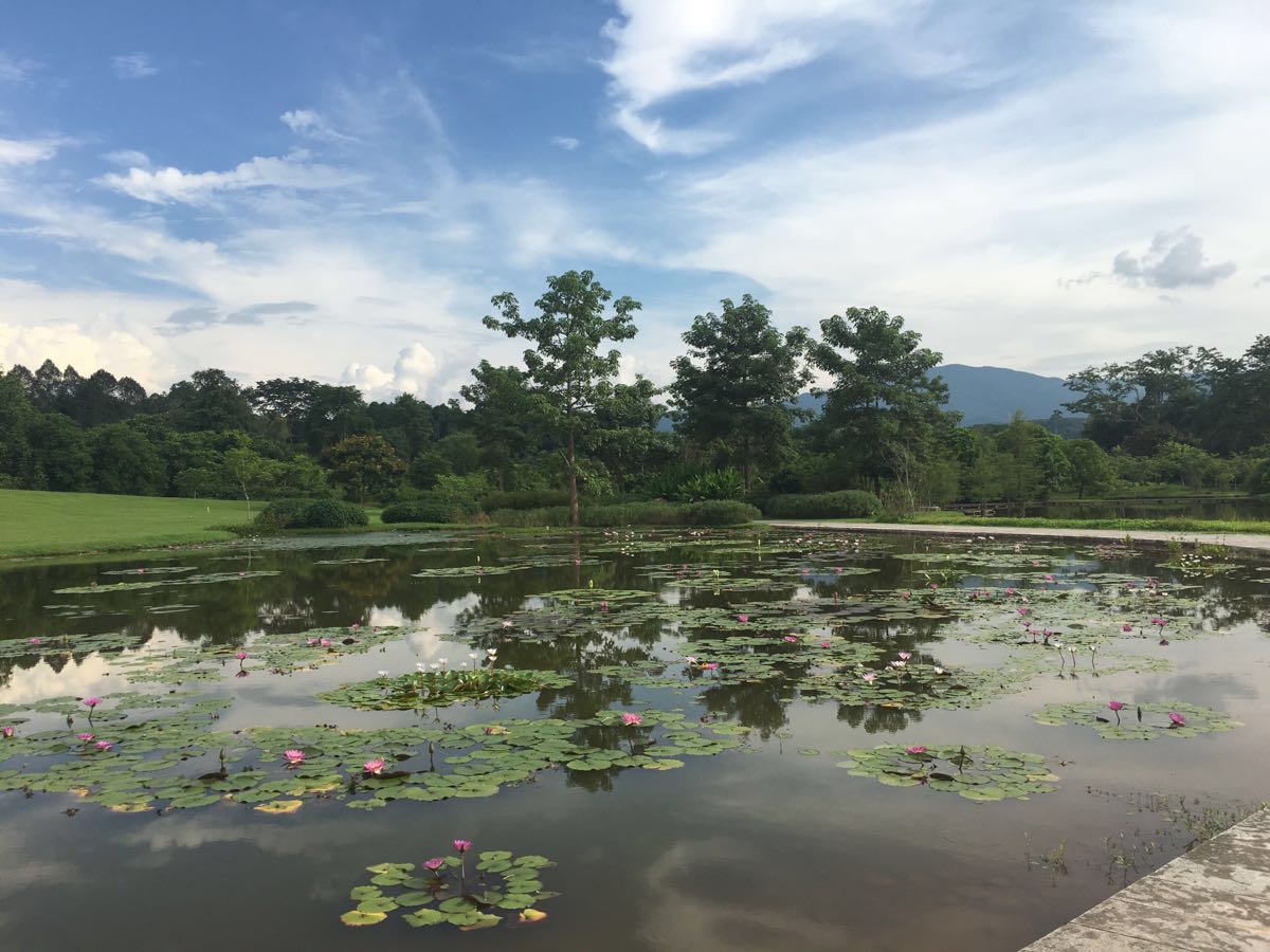 中科院西雙版納熱帶植物園