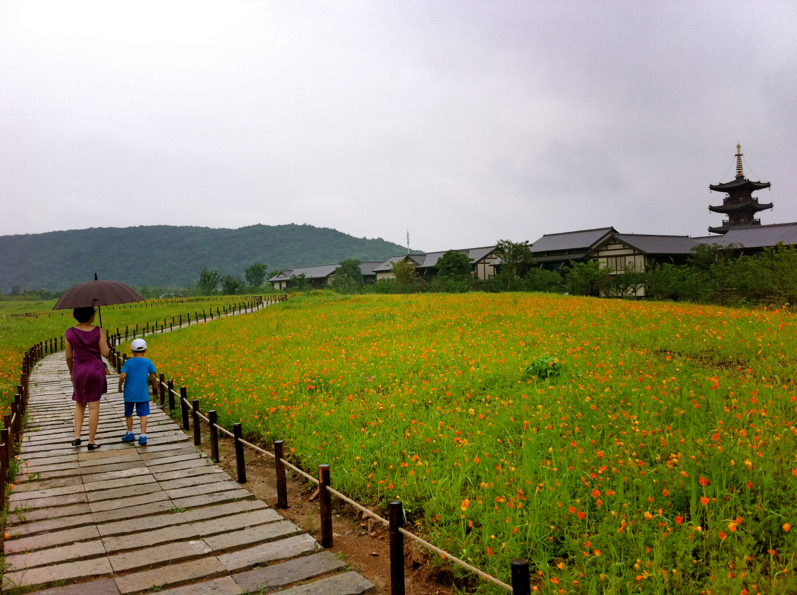 可以參考我6月底剛去的遊記:《入世禪境 ——無錫靈山拈花灣遊記