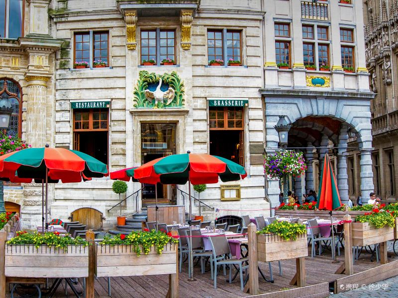布鲁塞尔天鹅咖啡馆图片
