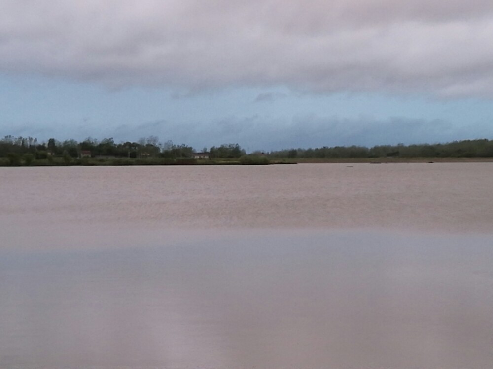 2019翔宇生态园玩乐攻略,真的很原生态……去了还想去.