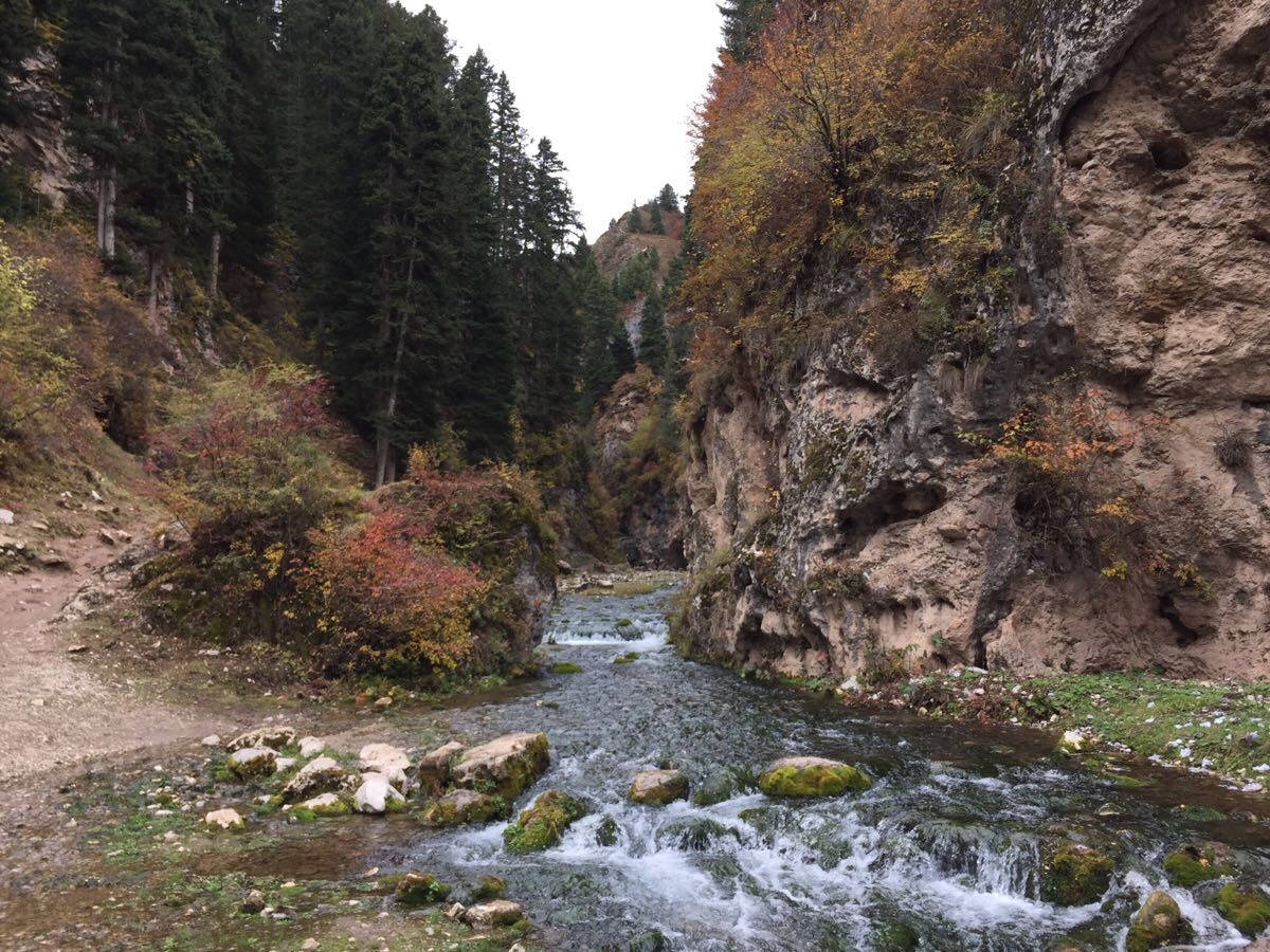 白龙江大峡谷图片