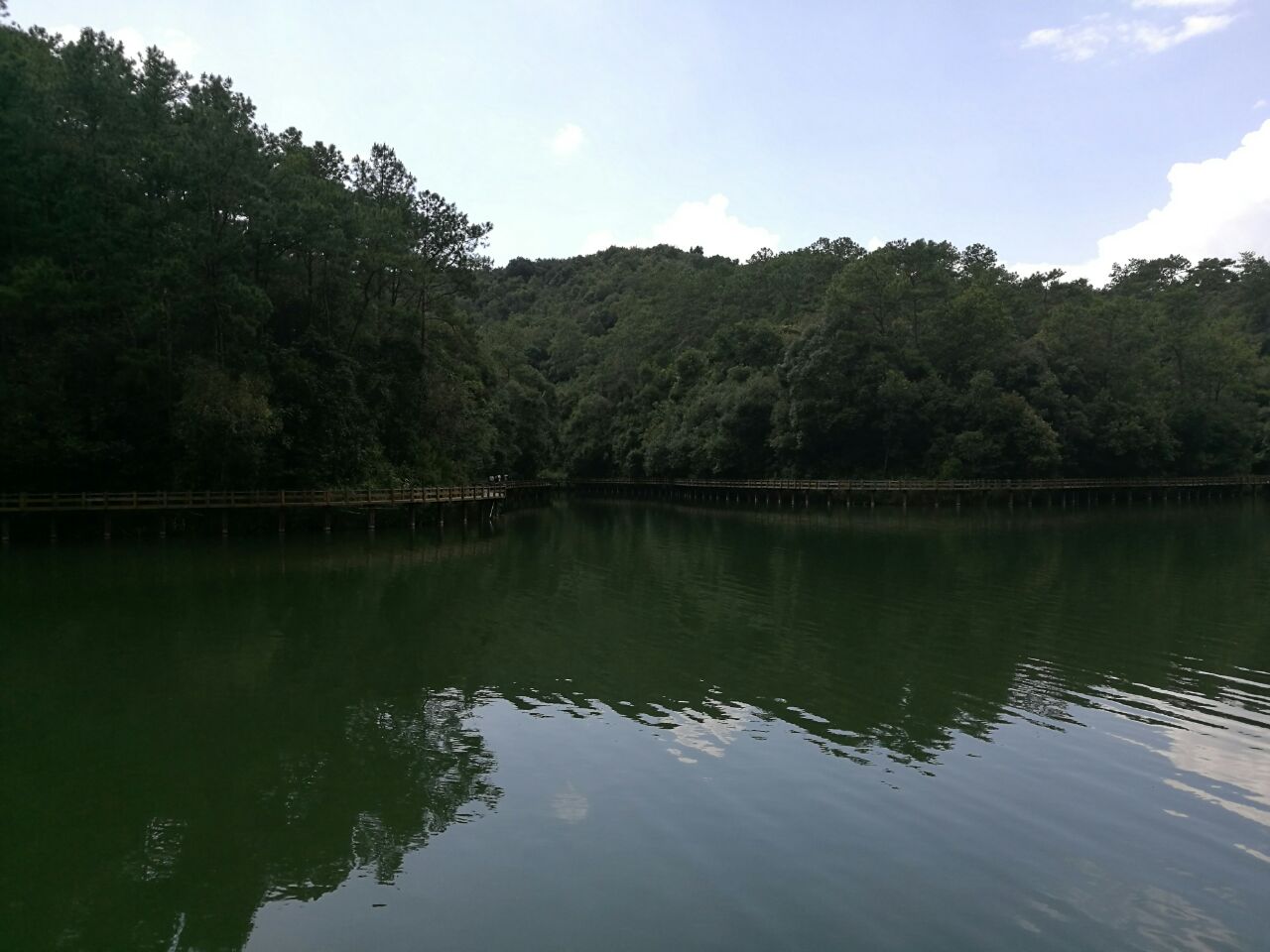 普洱梅子湖公園攻略,普洱梅子湖公園門票/遊玩攻略/地址/圖片/門票