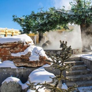 阳高九龙温泉度假村攻略-九龙温泉度假村门票价格多少钱-团购票价预定