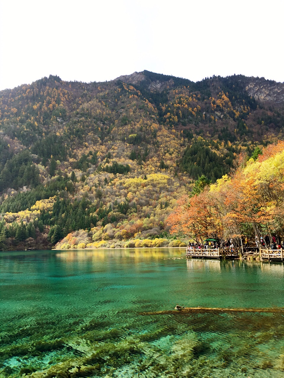 2019五彩池_旅遊攻略_門票_地址_遊記點評,九寨溝旅遊景點推薦 - 去