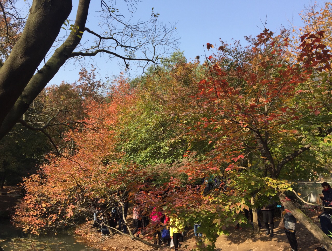 2019天平山_旅遊攻略_門票_地址_遊記點評,蘇州旅遊景點推薦 - 去哪兒