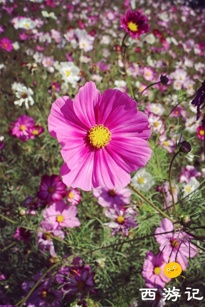 我想就这样牵着你的手一路向西的走下去(北京