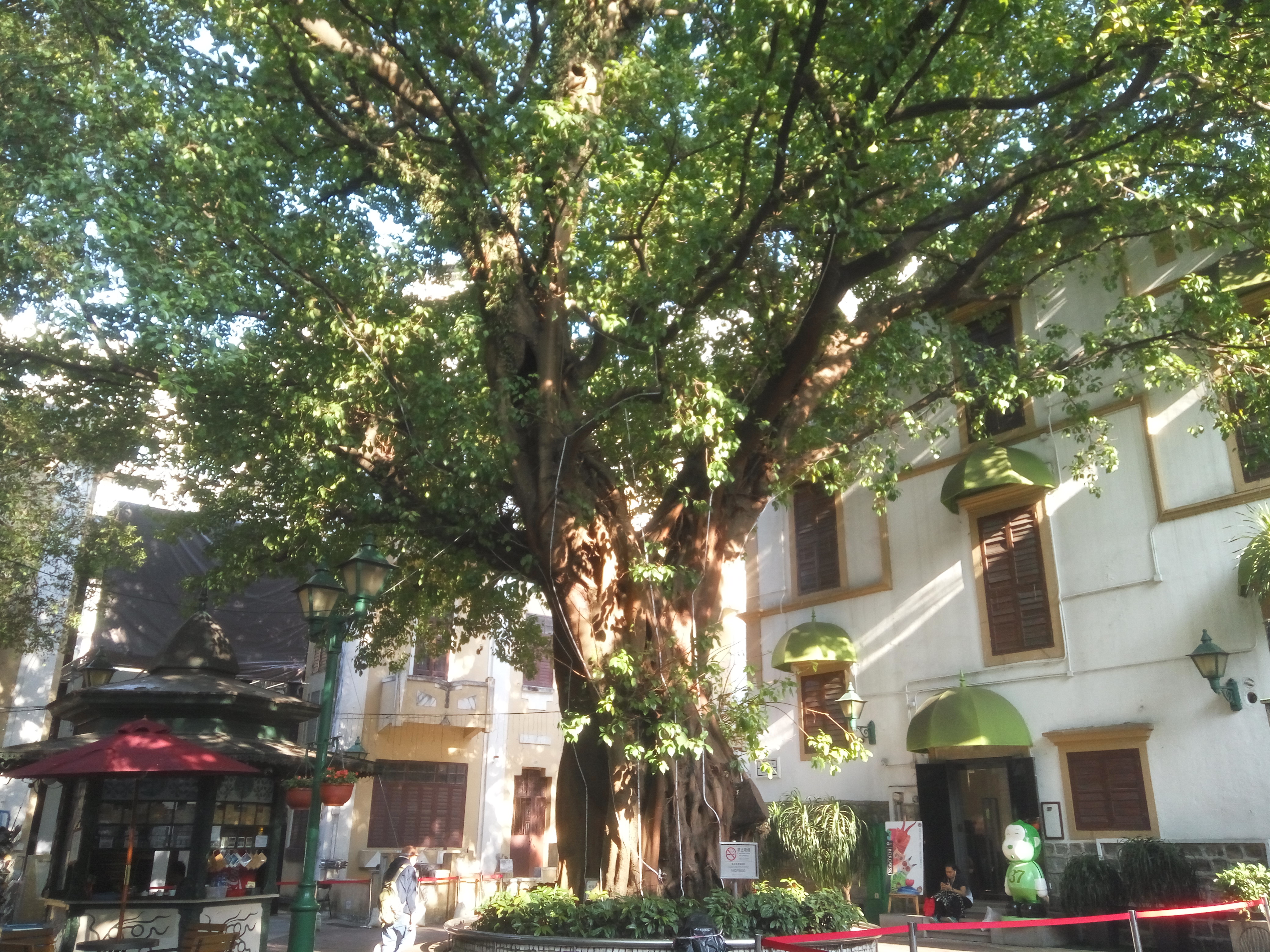 【携程攻略】澳门亚婆井前地适合单独旅行旅游吗,亚婆井前地单独旅行