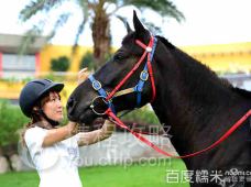 广州新塘公园附近景点推荐_新塘公园周边有什