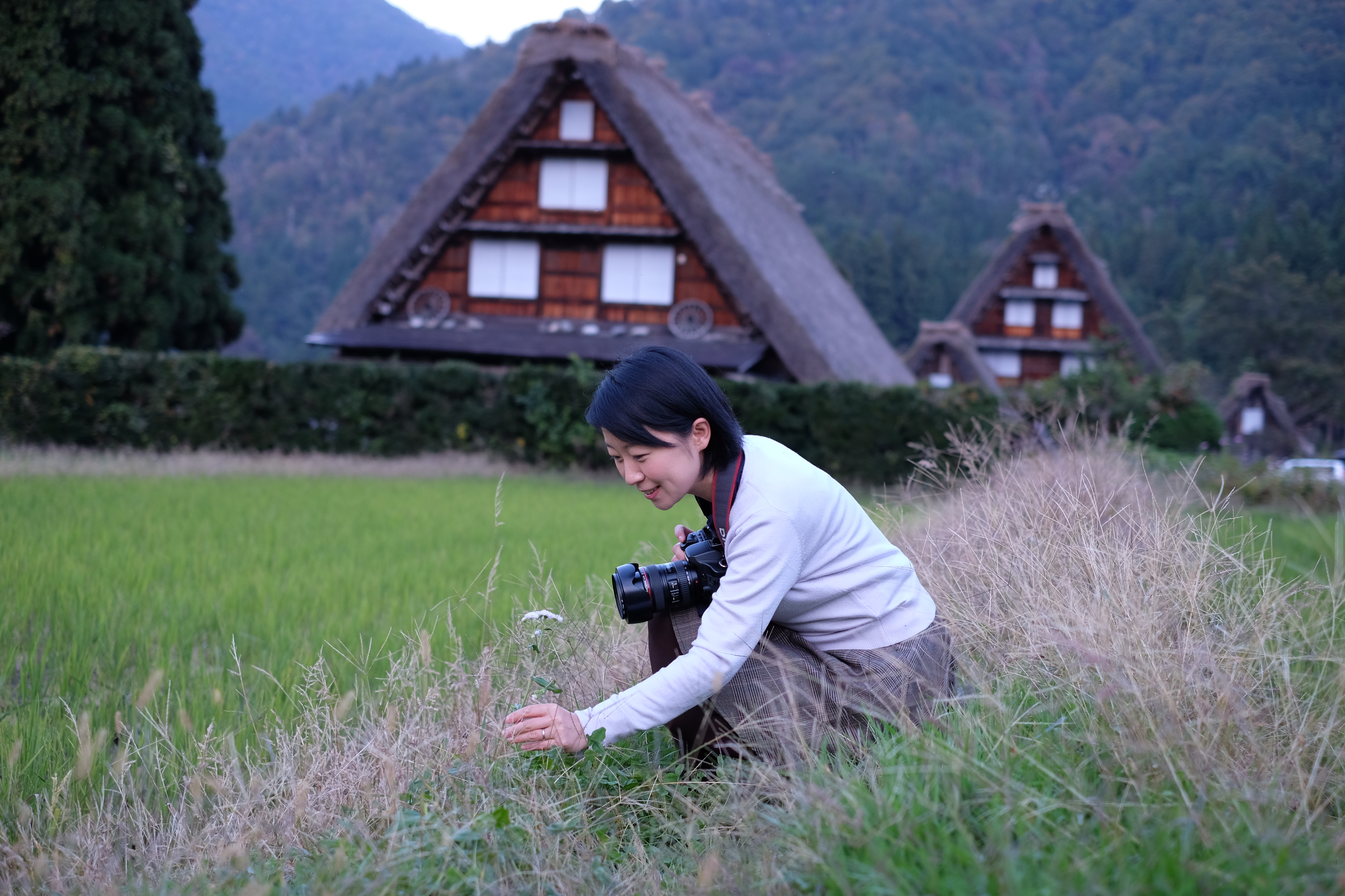 白川鄉合掌村旅遊景點攻略圖