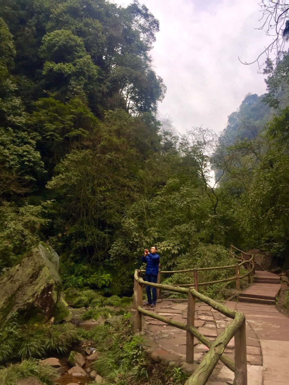 碧峰峽旅遊景點攻略圖