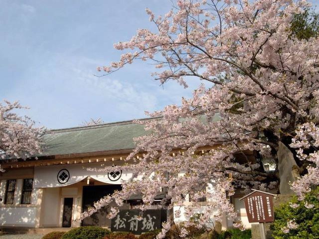5月北海道樱花正要盛开,人少景美机票还便宜!