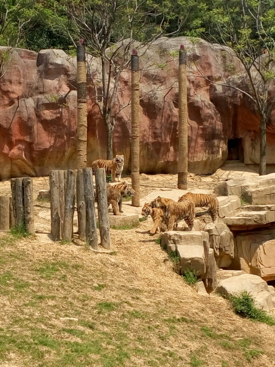 无锡动物园(太湖欢乐园)