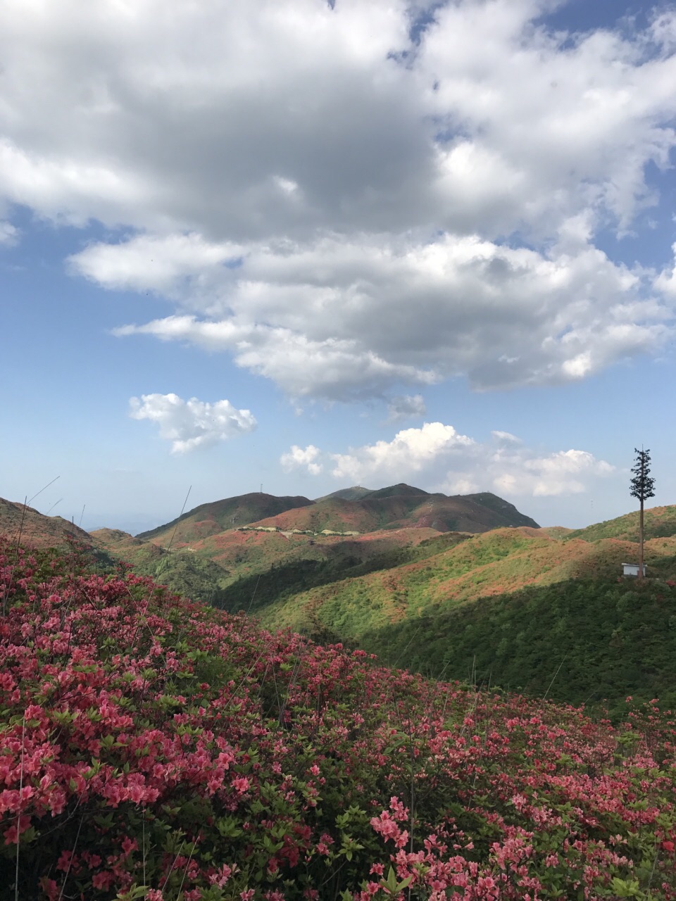 【携程攻略】浏阳大围山国家森林公园景点,早上九点出发,长沙市到浏阳
