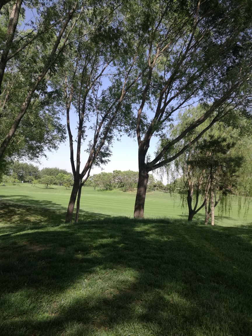 东方天星华普高尔夫俱乐部