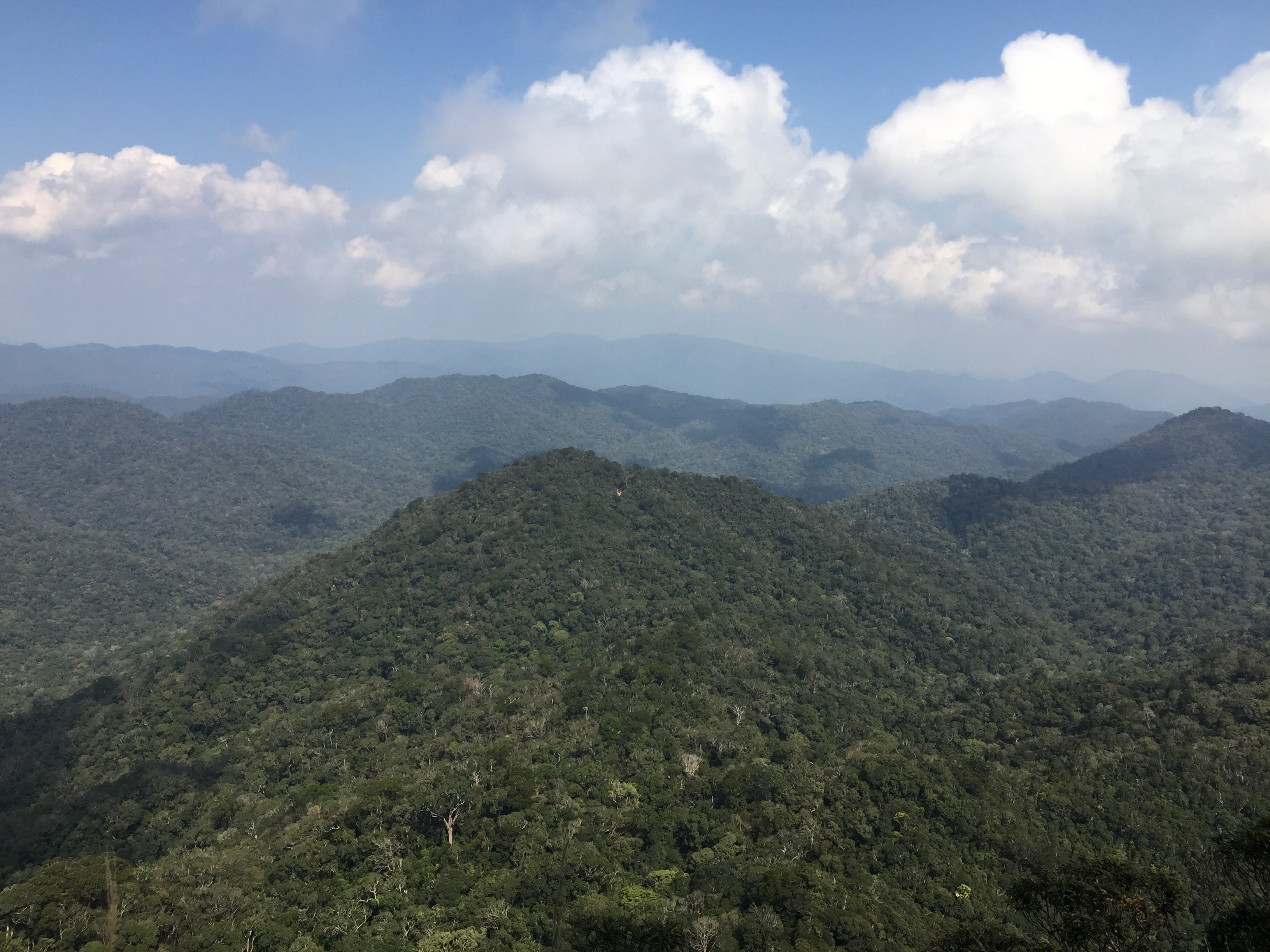 广州尖峰岭图片